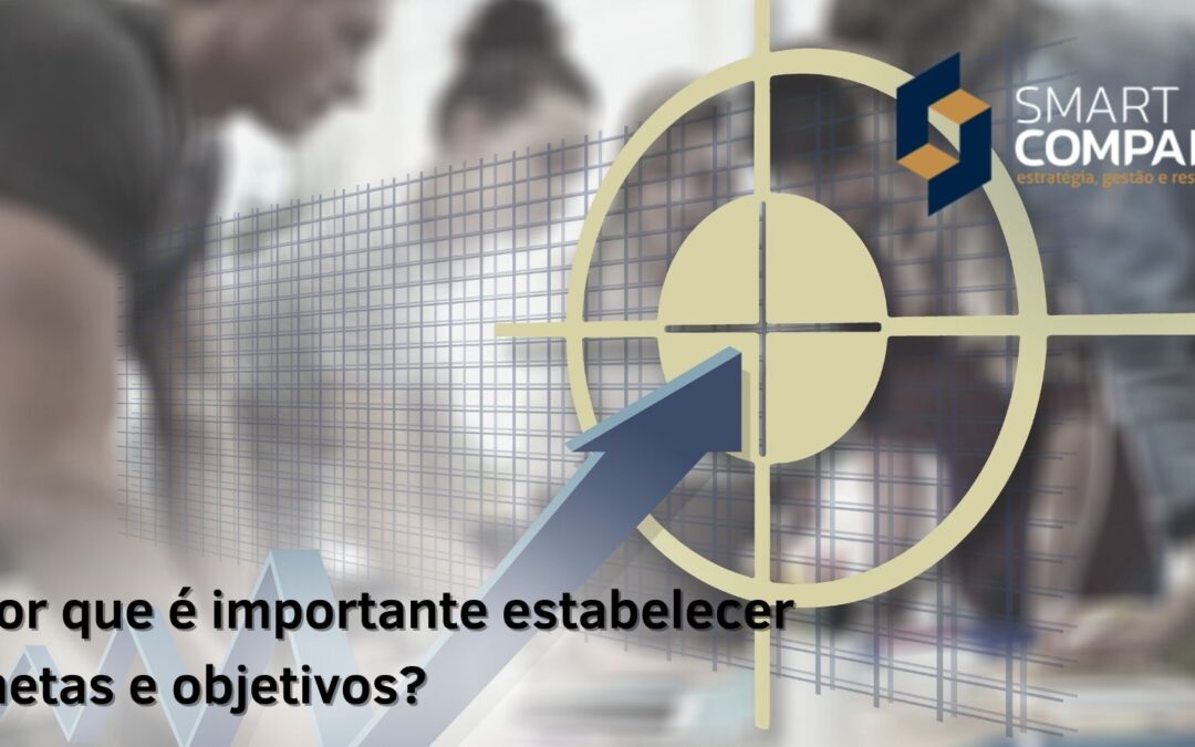 Por que é importante estabelecer metas?